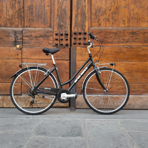 BICICLETTA DA DONNA